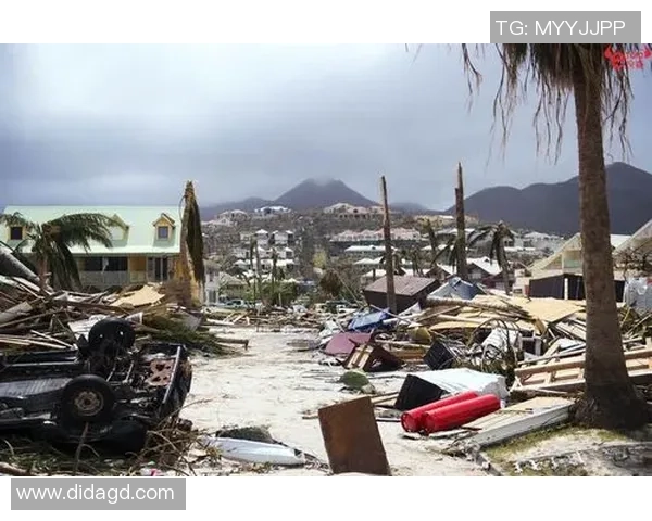 飓风来袭中的防卫与正义之辩：人性与自然的较量与思考